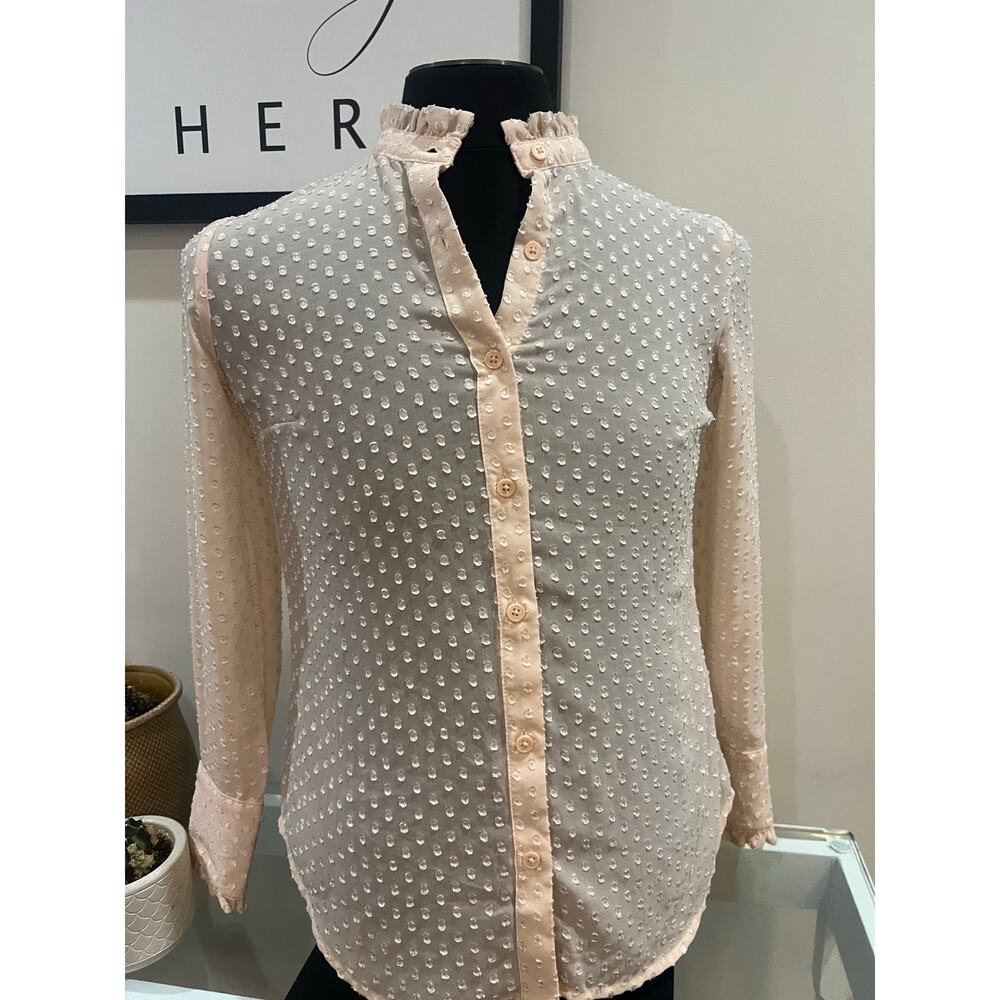 Pale Pink Sheer Polka Dot Button Down Top